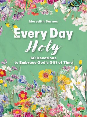 cover image of Every Day Holy